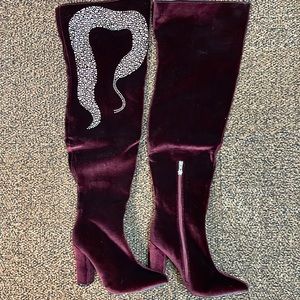 Beautiful Velvet Boots
